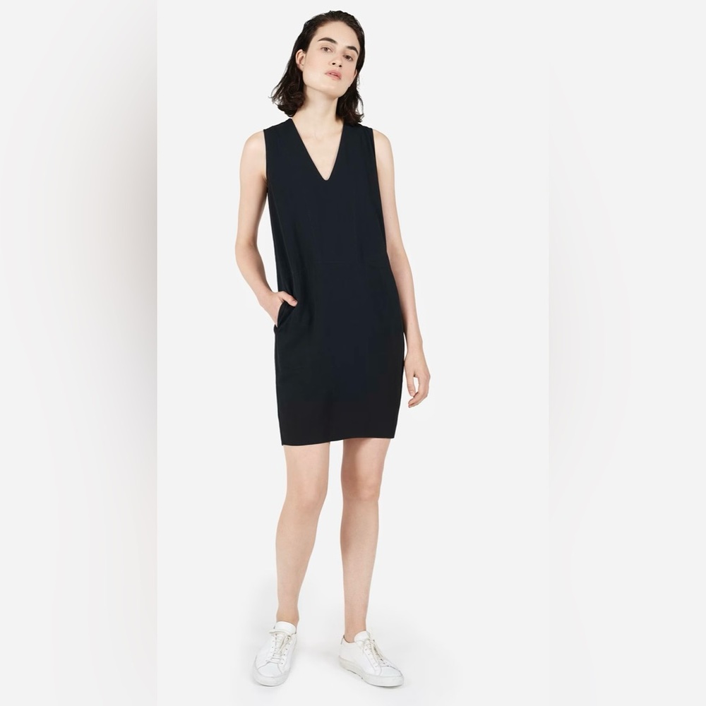 Everlane Goweave Sleeveless V-Neck Dress SZ 6